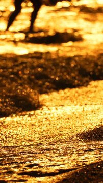 Silhouetted person walks along wet sand while gentle golden waves wash the beach shore. Vertical tripod static shot.