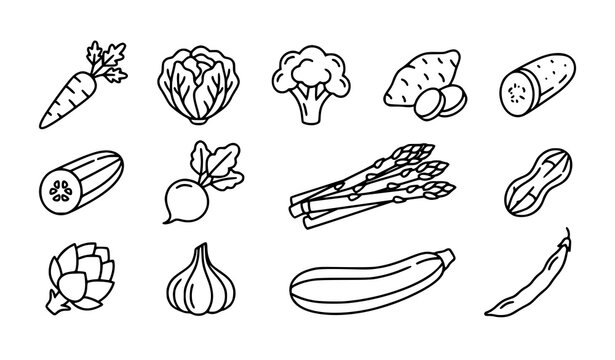 Organic Vegetables and Fresh Produce Outline Icons Collection Vector