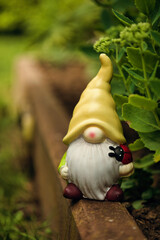 Garden gnome with yellow hat and long white beard © Klaudia
