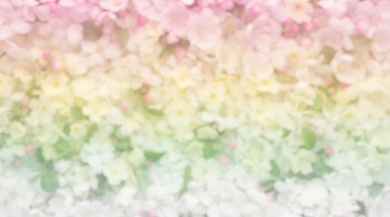 Obraz premium Soft spring floral blossom background with gentle gradient colors