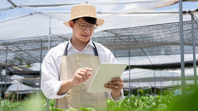 A man wearing a straw hat and apron is looking at a tablet