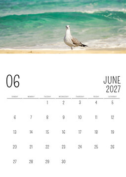 June 2027 English Calendar with Seagull on Beach