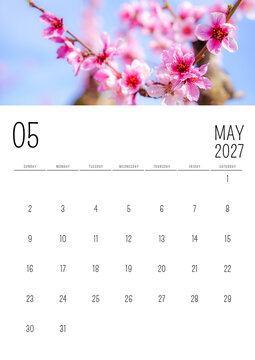 May 2027 English Calendar with Pink Blossom Flowers