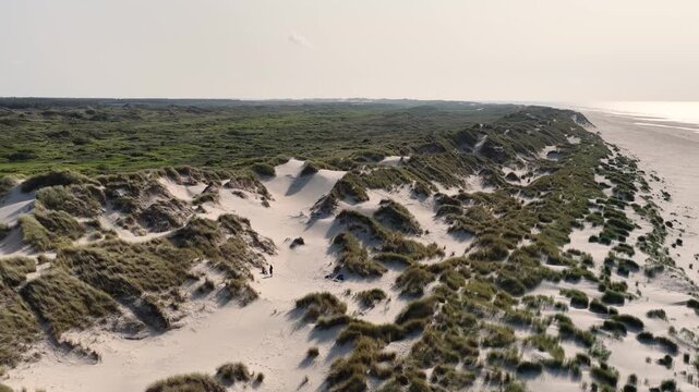 Netherland Benelux Terschelling Island Midsland West Hoornsebos Noordzee Beach and Dunes Wadden Schiereiland Dutch Wetland Aerial Drone