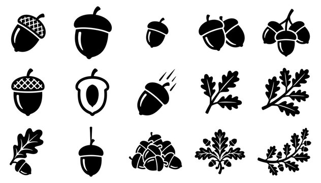 Set of black and white acorn and oak leaf icons for autumn seasonal design and nature projects. Thanksgiving Acorn and Oak Icons Bundle