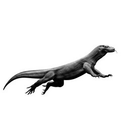 Naklejka premium Halftone Komodo Dragon Reptile with Tongue Flicking During Outdoor Exploration Isolated on transparent background