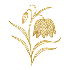 Naklejka premium PNG Elegant gold floral illustration