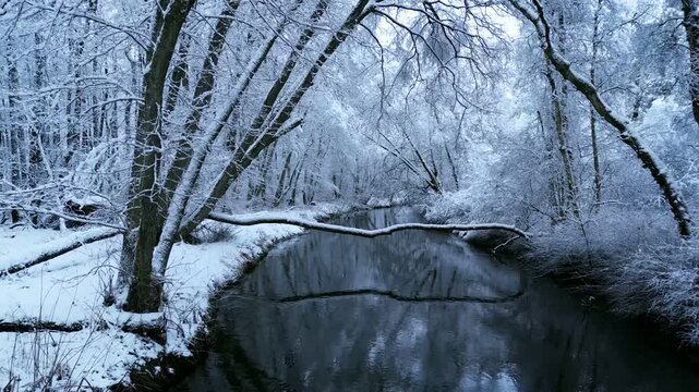 Beautiful Winter Wonderland Scene of Frosty River Brook Surrounded by Snow Covered Trees