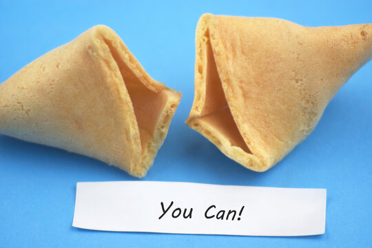 Chinese fortune cookies with text You Can inside