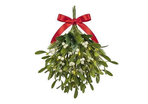 Fresh mistletoe sprig with berries and red ribbon isolated on transparent background