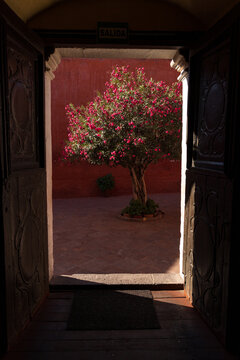 View of a flowering oleander tree in the vibrant red courtyard of the Santa Catalina Monastery framed by an open doorway in Arequipa, Arequipa, Peru.