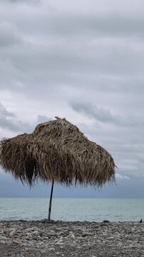 Thatch palm leaf beach umbrella blowing in the wind on stony shore