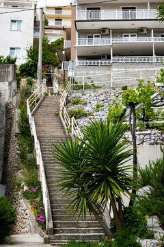 Concrete stairway climbing between stone terraces and apartment buildings with white balconies, yucca plants, grapevines, and garden in Neum