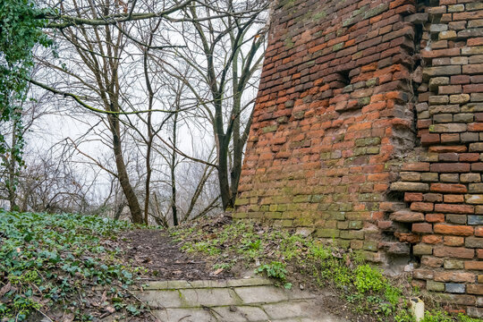 Old red brick wall corner covered with moss and ivy near leafless trees and stone path in tranquil natural outdoor autumn setting.