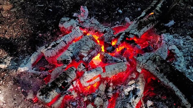 Close-up Loop of Glowing Campfire Embers. Seamless loop video featuring a close-up of glowing red embers and warm fire over dark logs. Perfect for ASMR relaxation and cozy background visuals.
