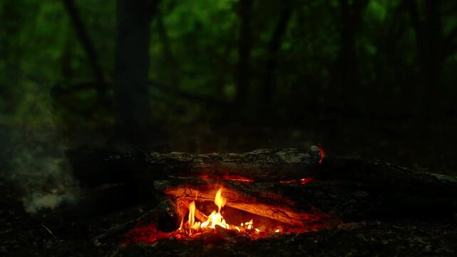Loop of Campfire Burning on Forest Ground. Smoothly loopable stock footage of a campfire burning on the ground with warm flames and logs in a quiet forest setting. Ideal for nature and camping themes.