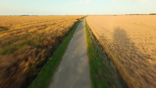 Drone flying over corn field in Fehmarn 