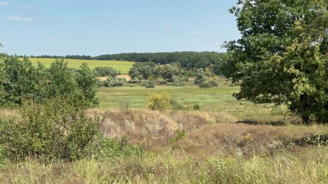 View of the steppe from the hill