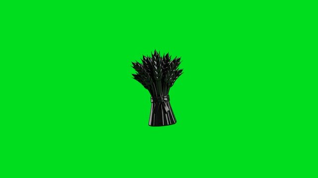 A shiny black wheat sheaf centerpiece isolated against a bright green screen