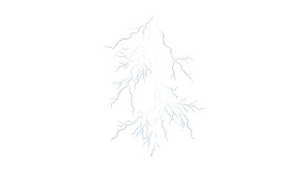 Fototapeta premium Realistic Branching Lightning Bolt with Electric Energy Glow Isolated