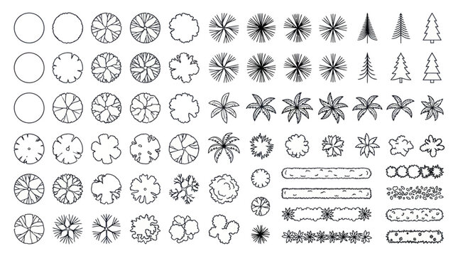 Landscape architecture plan view tree and plant symbols.