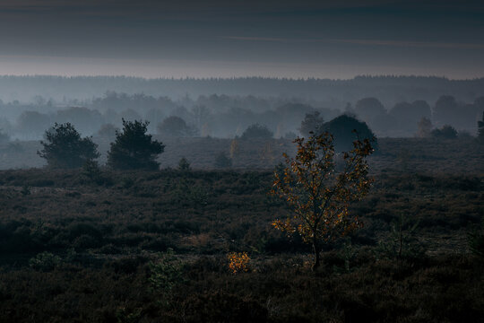 Prachtig landschap op de Sallandse Heuvelrug in Overijssel