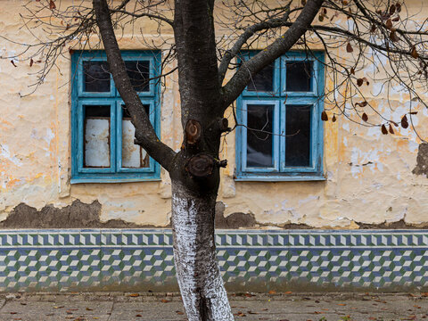 View of a weathered house facade with blue-framed windows and geometric patterned tiles at the base, partially obscured by a tree with a white-painted trunk in Beska, Vojvodina, Serbia.