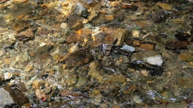 Stones and Pebbles on a Stream Bed