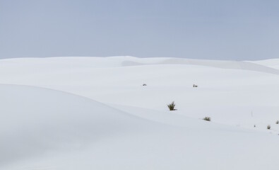Fototapeta premium White and dunes 6