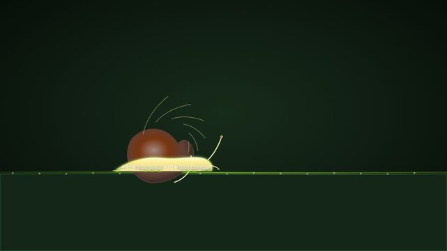 Minimalist graphic illustration of a cute little snail crawling on a dark green surface