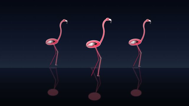 Three elegant pink flamingos reflected on a dark glossy surface