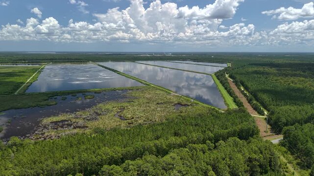 Aerial view of the Georgia-Pacific Palatka Operations industrial facility featuring large wastewater treatment ponds surrounded by dense pine forests in Palatka, Florida, United States.