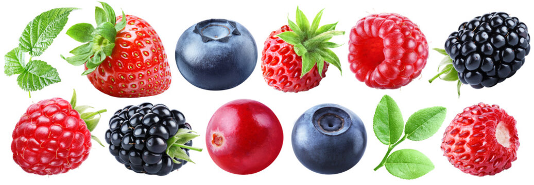 Five kinds of berries: strawberries, raspberries, blackberries, blueberries and cranberries arranged as separate whole fruits with green leaves isolated on transparent background.