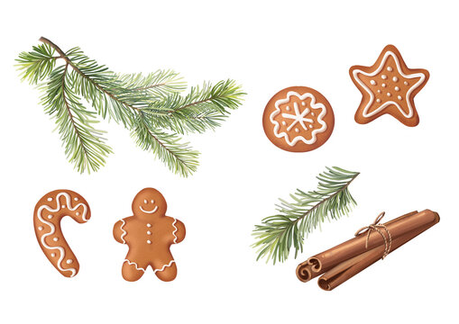 Hand-drawn Christmas gingerbread cookie pine branch cinnamon clipart illustration