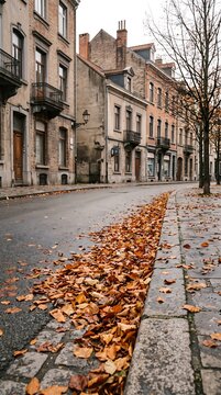 Autumn leaves cover the cobblestone street and sidewalk in a European city