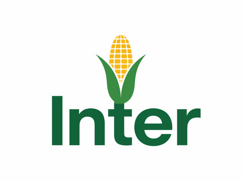 Green corn cob with leaves growing from the word Inter as a creative agriculture concept vector