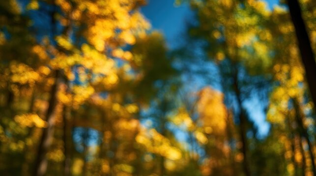 Blurry golden-green forest scene with moody blue sky for an abstract nature background