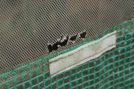 Close up of small torn holes in greenhouse netting above velcro fastener