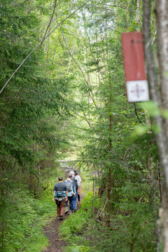 Deep in the Woods Along the Pilgrim Way