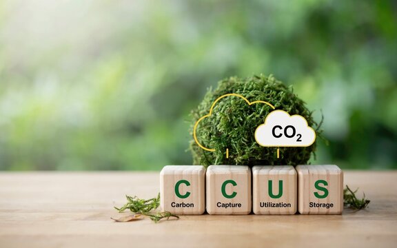 CCUS carbon capture utilization and storage concept. Wooden blocks with CO2 cloud icon and green moss ball. Environmental technology for net zero.