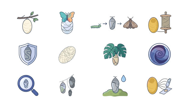  Silkworm Life Cycle and Silk Production Illustration Set with Eggs, Caterpillar, Cocoon, Moth, Mulberry Leaves, Spinning, and Textile Processing