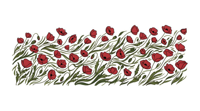 Red poppies floral border with green leaves on white background for graphic design.