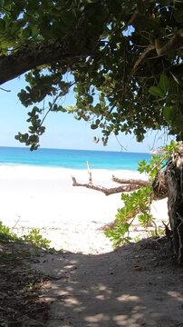 Vertical POV walk along Grande Anse beach on Mahe Island Seychelles with white sand, turquoise ocean, tropical vegetation and scenic coastal scenery.