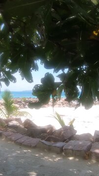 Vertical POV walk on Anse Kerlan beach in Seychelles with white sand, turquoise water, granite rocks and lush tropical vegetation.