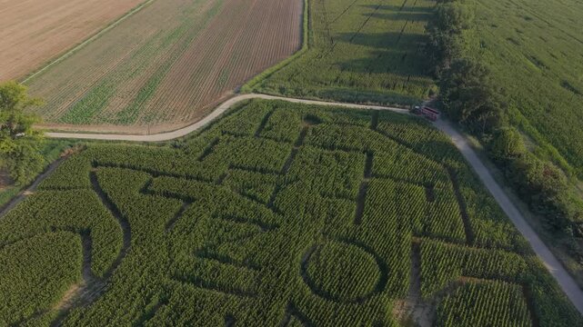 Aerial View of a Corn Maze: An expansive aerial view showcases a meticulously carved corn maze in a rural field, with pathways forming intricate patterns under a clear sky. Mediglia, Milan, Italy