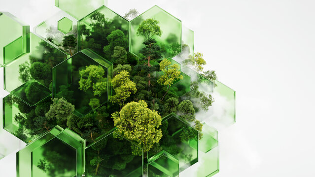Abstract Green Hexagonal Frames Showcase Lush Forest Trees and Nature Scenery Digital Artwork Design