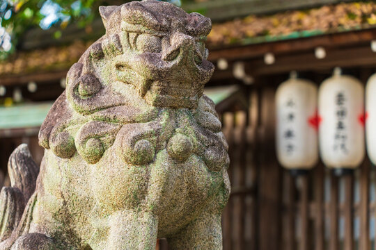 Guardian dog (foo dog) at Imperial Palace of Kyoto (Honshu, Japan)