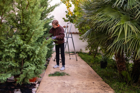 Teenage girl trimming conifer hedge beside tropical plants in Montenegro.