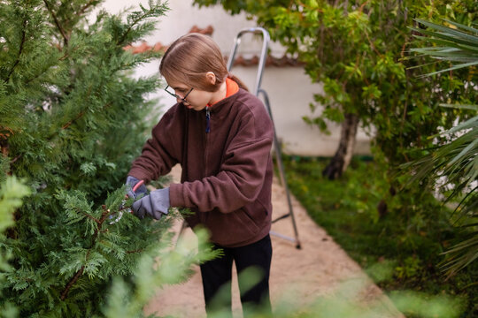 Teenage girl trimming conifer hedge beside tropical plants in Montenegro.