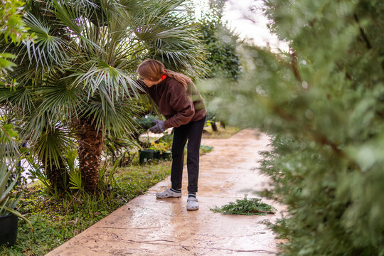 Teenage girl cutting palm leaves during garden maintenance in Montenegro.